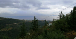 Land for Sale Blat ( Mastita ) Jbeil Area 830Sqm