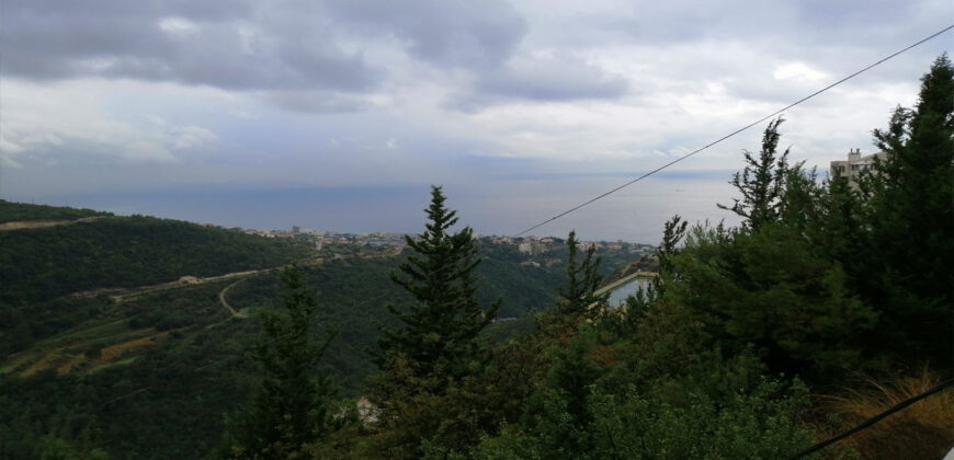 Land for Sale Blat ( Mastita ) Jbeil Area 830Sqm