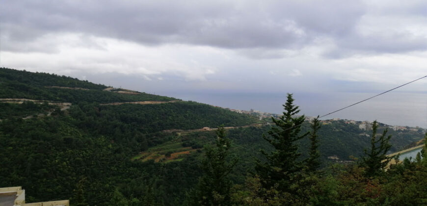 Land for Sale Blat ( Mastita ) Jbeil Area 830Sqm