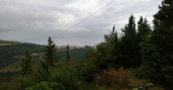Land for Sale Blat ( Mastita ) Jbeil Area 830Sqm