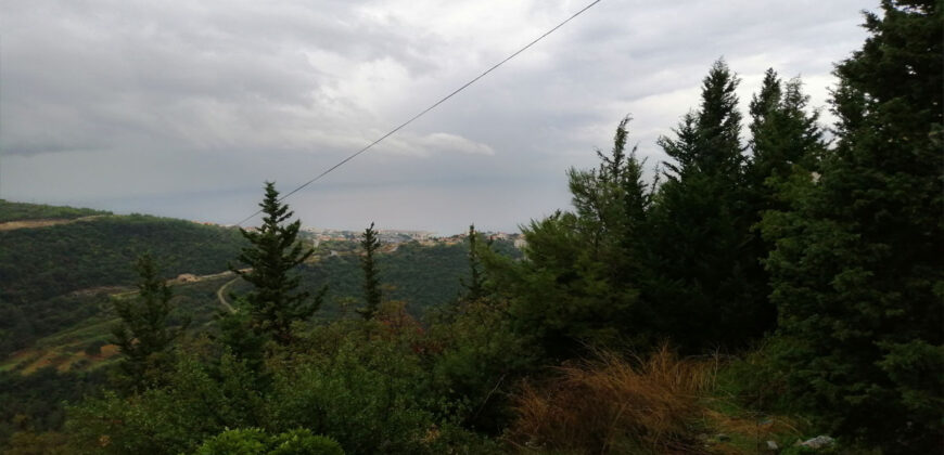 Land for Sale Blat ( Mastita ) Jbeil Area 830Sqm