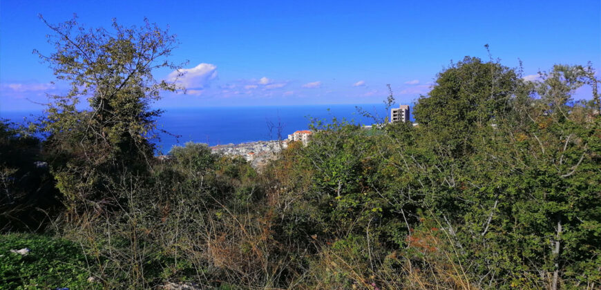 Land for Sale Blat ( Mdamit ) Jbeil Area 730Sqm