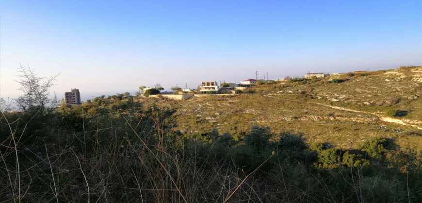 Land for Sale Blat ( Mdamit ) Jbeil Area 730Sqm