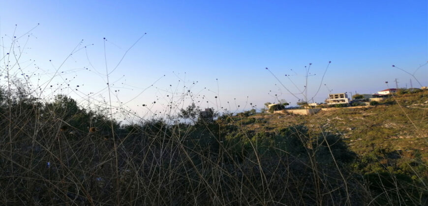 Land for Sale Blat ( Mdamit ) Jbeil Area 730Sqm