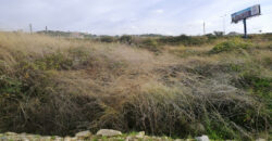 Land for Sale Berbara Jbeil Area 848Sqm