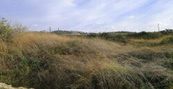 Land for Sale Berbara Jbeil Area 848Sqm