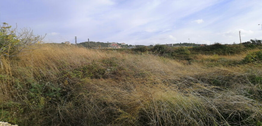 Land for Sale Berbara Jbeil Area 848Sqm