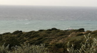 Land for Sale Rayhan Jbeil Area 662Sqm