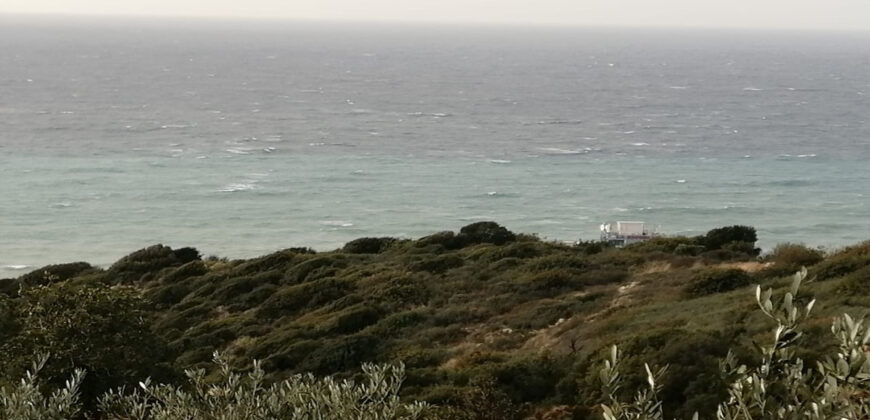 Land for Sale Rayhan Jbeil Area 662Sqm