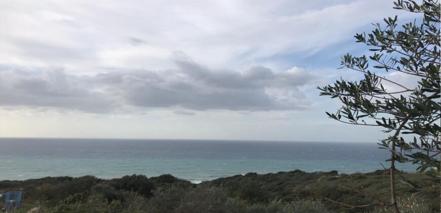 Land for Sale Rayhan Jbeil Area 662Sqm