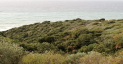 Land for Sale Rayhan Jbeil Area 662Sqm