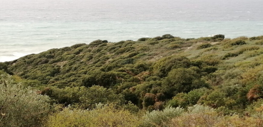 Land for Sale Rayhan Jbeil Area 662Sqm