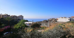 Land for Sale Blat ( Qartaboun ) Jbeil Area 700Sqm