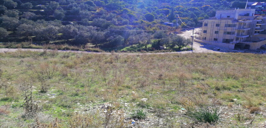 Land for Sale Blat Jbeil Area 1280Sqm