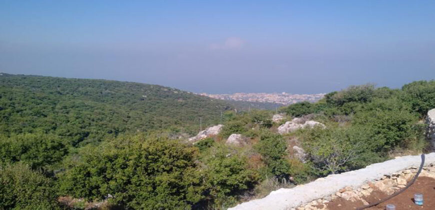 Land for Sale Aabrine Batroun Area 10500Sqm