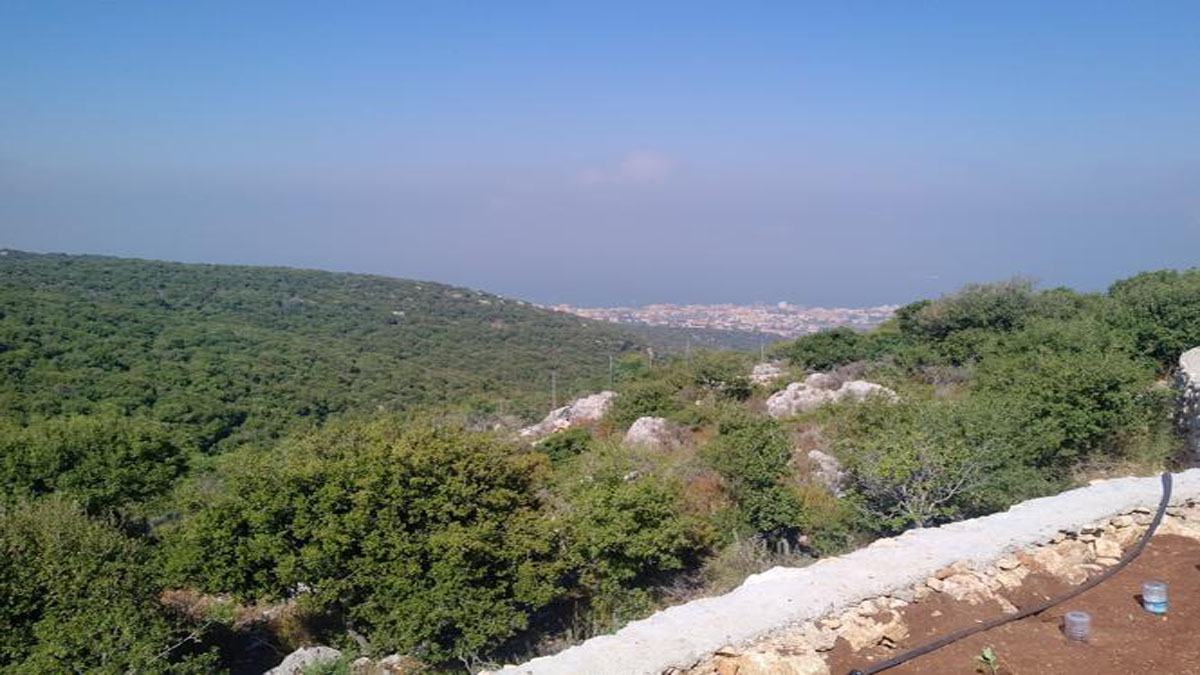 Land for Sale Aabrine Batroun Area 10500Sqm