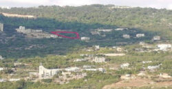 Land for Sale Adonis Sannour Jbeil Area 3112Sqm