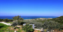Land for Sale Berbara Jbeil Area 962Sqm
