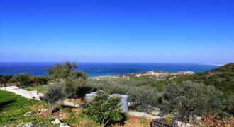 Land for Sale Berbara Jbeil Area 962Sqm