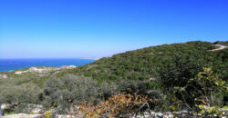 Land for Sale Berbara Jbeil Area 962Sqm