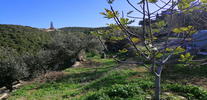 Land for Sale Berbara Jbeil Area 962Sqm
