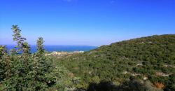 Land for Sale Berbara Jbeil Area 962Sqm