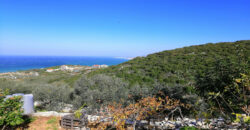 Land for Sale Berbara Jbeil Area 962Sqm