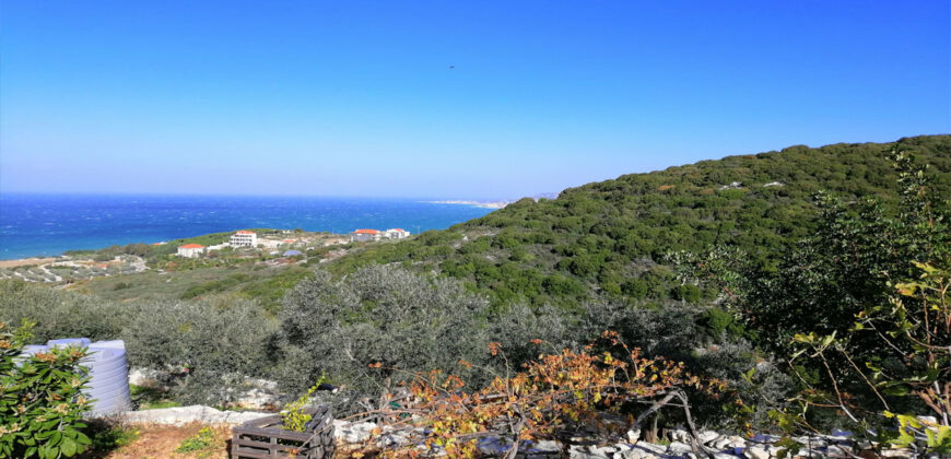 Land for Sale Berbara Jbeil Area 962Sqm