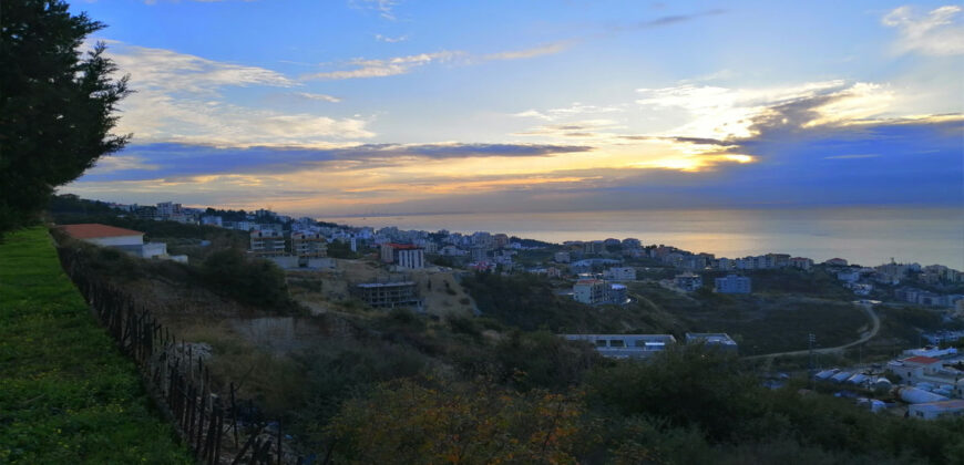 Land for Sale Blat Jbeil Area 3183Sqm
