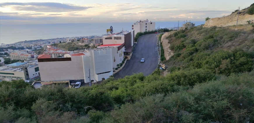 Land for Sale Blat Jbeil Area 3183Sqm