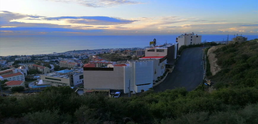 Land for Sale Blat Jbeil Area 3183Sqm