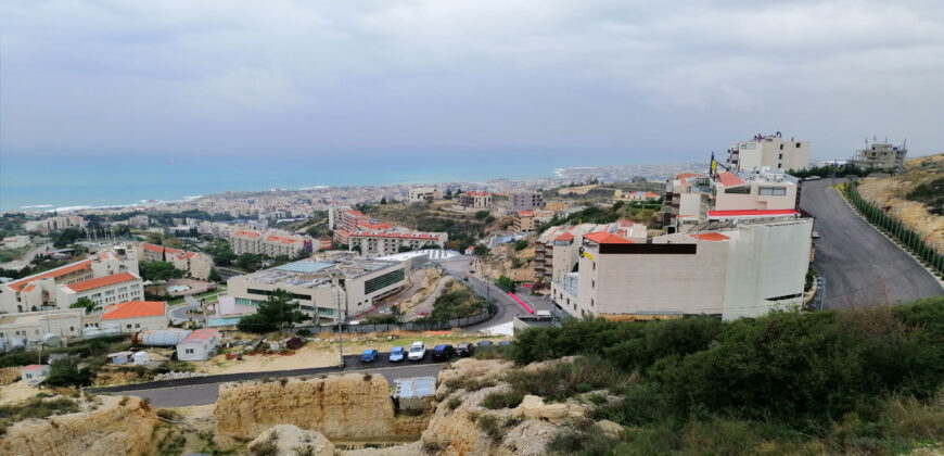 Land for Sale Blat Jbeil Area 2329Sqm