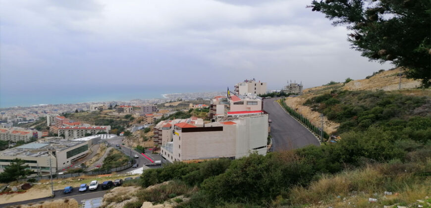 Land for Sale Blat Jbeil Area 2329Sqm