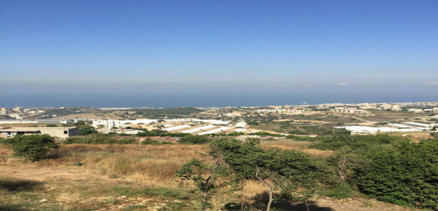 Land for Sale Kfar Mashoun Jbeil Area 1070Sqm