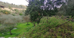 Land for Sale Kfar Mashoun Jbeil Area 4985Sqm