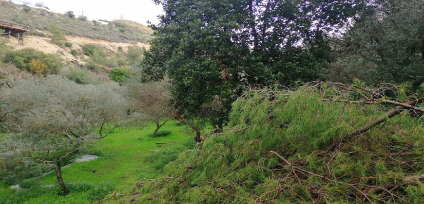Land for Sale Kfar Mashoun Jbeil Area 4985Sqm