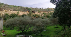 Land for Sale Kfar Mashoun Jbeil Area 4985Sqm
