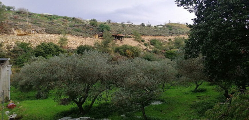 Land for Sale Kfar Mashoun Jbeil Area 4985Sqm