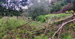Land for Sale Kfar Mashoun Jbeil Area 4985Sqm