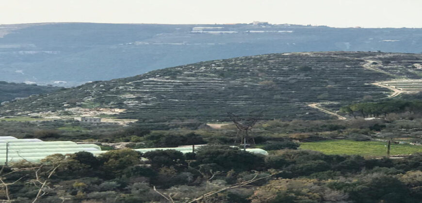 Land for Sale Jrabta Batroun Area 118808Sqm