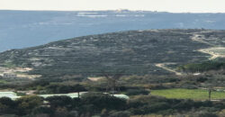 Land for Sale Jrabta Batroun Area 118808Sqm
