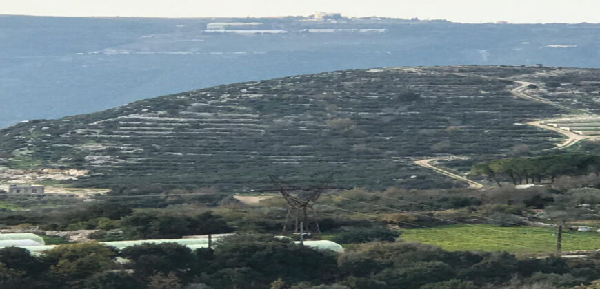Land for Sale Jrabta Batroun Area 118808Sqm
