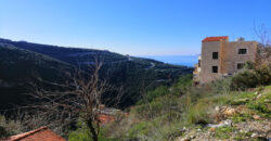 Land for Sale Blat ( Mastita ) Area 800Sqm