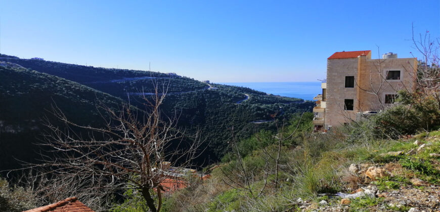 Land for Sale Blat ( Mastita ) Area 800Sqm