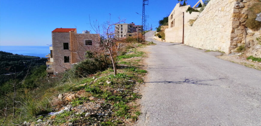 Land for Sale Blat ( Mastita ) Area 800Sqm