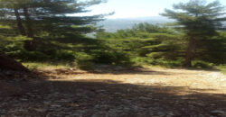 Land for Sale El Azra Kesserwan Area 4469Sqm