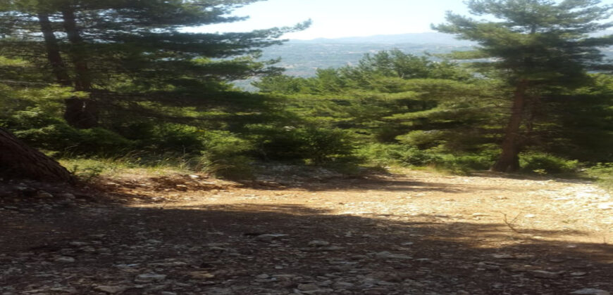 Land for Sale El Azra Kesserwan Area 4469Sqm