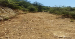 Land for Sale El Azra Kesserwan Area 4469Sqm