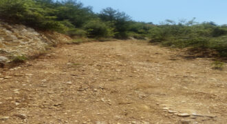 Land for Sale El Azra Kesserwan Area 4469Sqm
