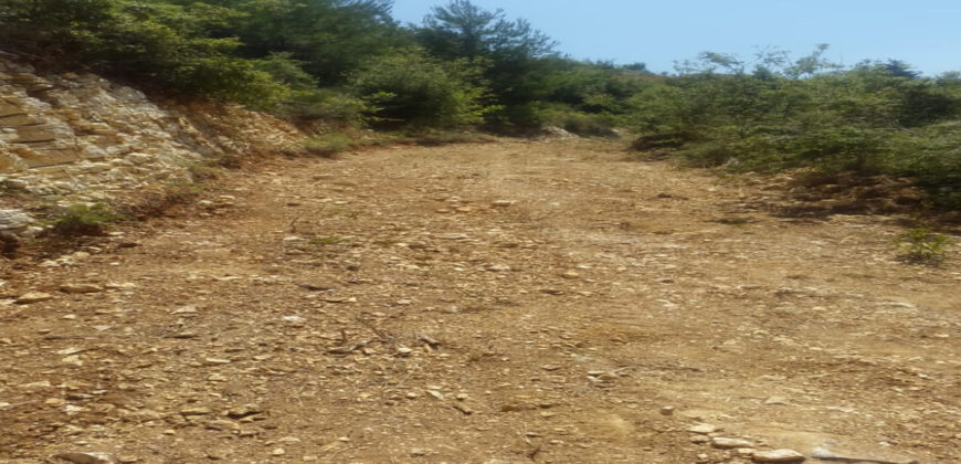 Land for Sale El Azra Kesserwan Area 4469Sqm